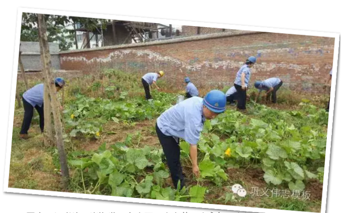 員工冒雨參加義務(wù)勞動！感動———偉志鋼模板廠家