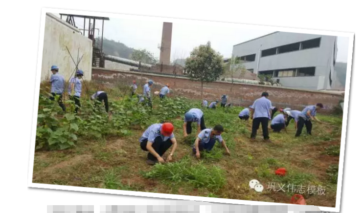 員工冒雨參加義務(wù)勞動！感動———偉志鋼模板廠家