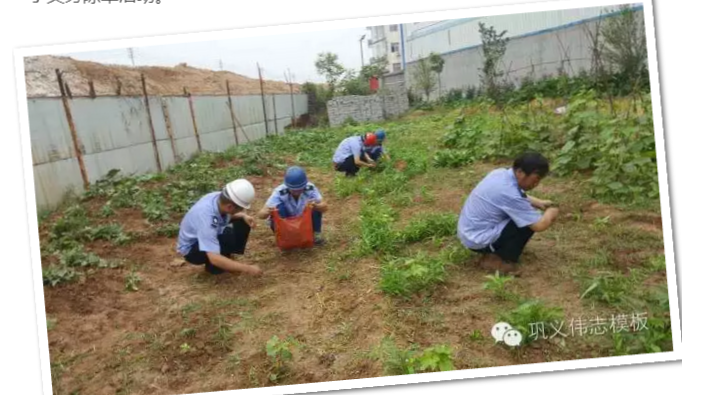 員工冒雨參加義務(wù)勞動！感動———偉志鋼模板廠家