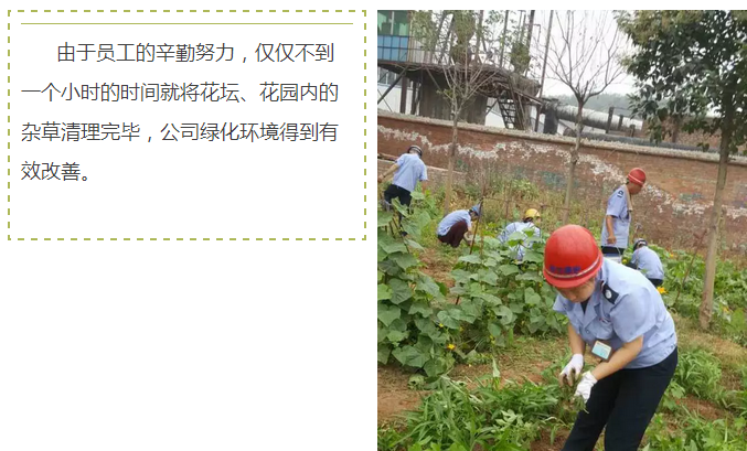 員工冒雨參加義務(wù)勞動！感動———偉志鋼模板廠家