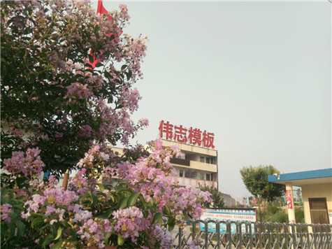 專業(yè) 專注，河南偉志模板在2018年期待您的光臨