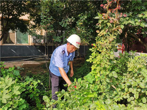 河南偉志模板來保軍——美麗的花園，來自辛勤的勞動(dòng)
