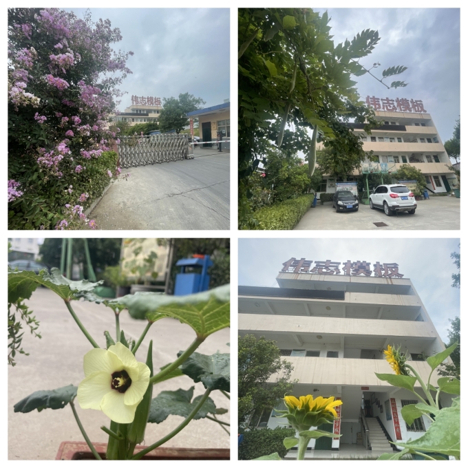 夏至來臨，期待美好