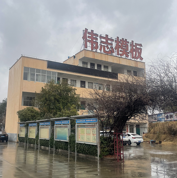 以匠心鑄“橋”梁,以品質傳“粽”情